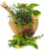 Herbs Information - Natural Herbs for Good Health